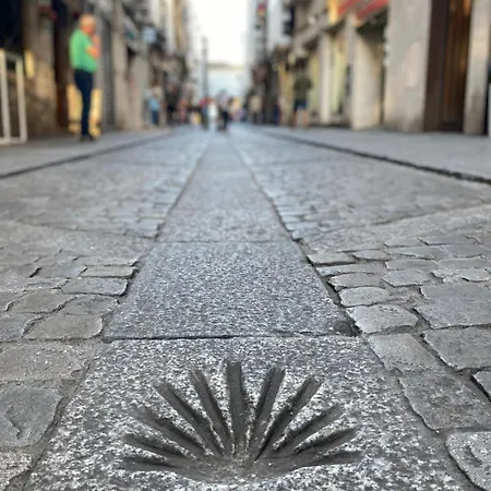 Cielo De San Juan -vut 622 *