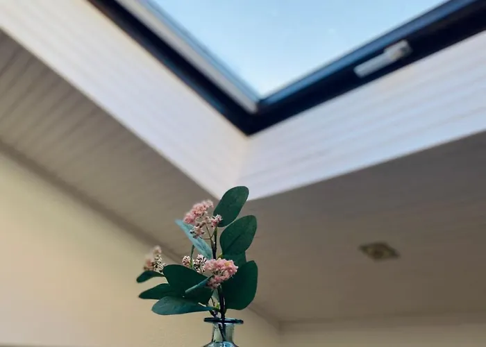 Cielo De San Juan -vut 622 Lägenhet